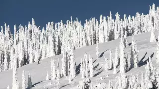 One of Canada's Favourite Family Resorts - Big White