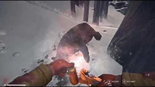 THE LONG DARK: Oak trees - Hushed River Valley