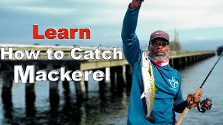 Pier Fishing: Learn How to Catch Spanish Mackerel at The Skyway Pier!