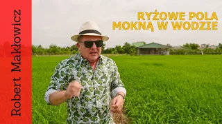 ROBERT MAKŁOWICZ WIETNAM odc.171  „Ryżowe pola mokną w wodzie".