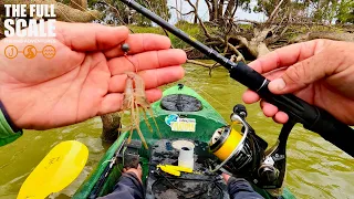 How To Fish With Shrimp | The Full Scale