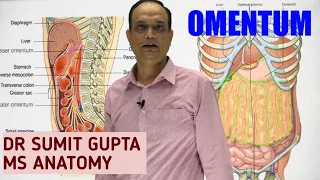 PERITONEUM Part 2 : OMENTUM