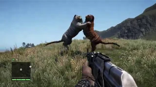 FAR CRY 4 - ALL ANIMAL FIGHTS - PART 1!!!!