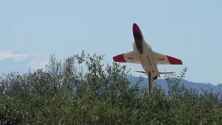 Flex Jet R/C 3D Flight Demo [Flex Innovations/Long Edit]