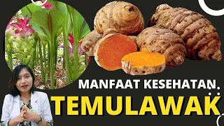 THE BENEFITS OF TEMULAWAK FOR HEALTH, Turns Out To Be Better Than TURMERIC