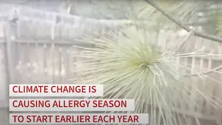 Tips for allergies as climate change causes longer, more severe seasons | Ohio State Medical Center