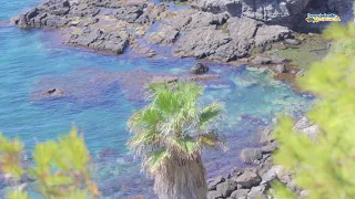 Playa del Caletón y Cala del Pargo