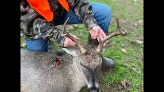 Buck Down 220 Yard Shot With Tikka 308