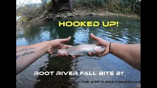 Root River South Branch Fishing! | Lanesboro, MN | Fall Trout Bite