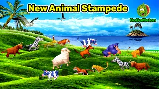 new Aniaml Stampede green screen | animal stampede running in the hills  @gogomelon5