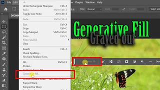 How to Solve Generative Fill Greyed Out in Photoshop (Beta)