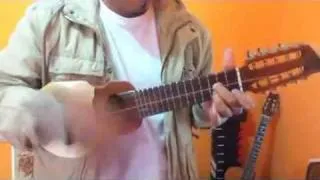 El Jilguero Flores  Kjarkas (cover charango)