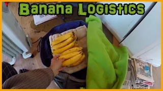 BANANA RIPENING TIPS: HOW TO SLOW DOWN OR SPEED UP THE PROCESS