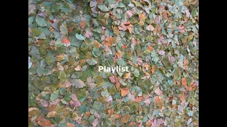 [ 2023 Playlist ] 달달 플레이리스트 Daldal