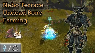 Nebo Terrace Undead Farming - Guild Wars Monk Farm, HM