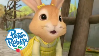 Peter Rabbit - Cottontail Saves the Day! | Cartoons for Kids