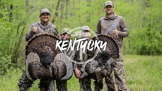 Turkey Hunting- Gobbler at 7 YARDS!