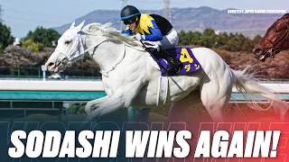 Japan's White Wonder! | Sodashi ソダシ Wins Her Third G1 Race | 2022 Victoria Mile ヴィクトリアマイル