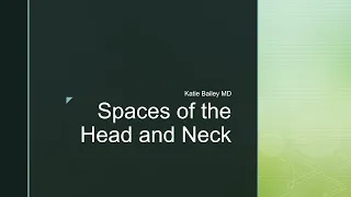 Spaces of the Head and Neck