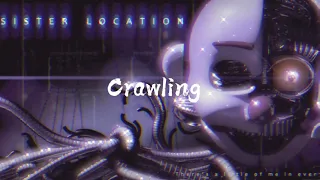 CG5 ~Crawling~ // slowed to perfection // 📼