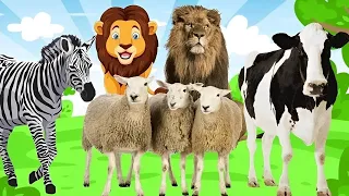 Animal sounds Cute animals sound Cow cat horse dog goat sheep duck zebra lion animais da fazenda