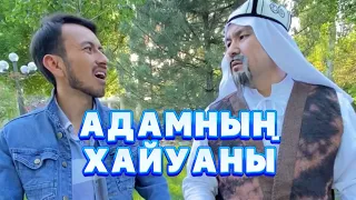 Хайуан /// Күлкі Базар /// Кулки Базар