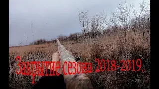 Охота на утку. Закрытие охотничьего сезона 2018-2019. Successful duck hunting.