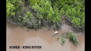 SOBEK THE GIANT CROCODILE OF KING RIVER