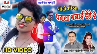 Gori mola pagla banaye dahe re HD VIDEO // Naresh Pancholi & Suman Kurre //S.A MUSIC DULHIBANDH