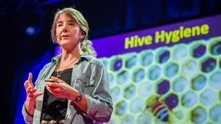 Marla Spivak: Why bees are disappearing