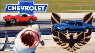 1969 Corvette 427 vs 1973 Firebird Formula 455 - PURE STOCK DRAG RACE