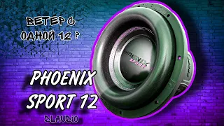 Обзор Сабвуфера DL Audio Phoenix Sport 12