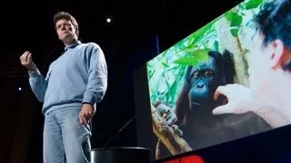 How to restore a rainforest - Willie Smits