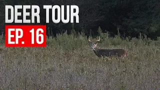 DEER EVERYWHERE! Searching for a Giant Buck - DEER TOUR E16