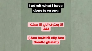 Egyptian Arabic sentences