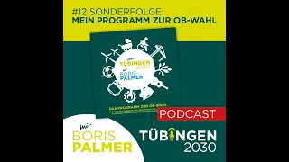 12 - Boris Palmers Wahlprogramm zur OB-Wahl in Tübingen - Tübingen 2030 mit Boris Palmer