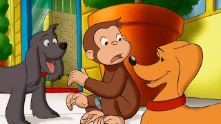 Georges le Petit Singe 🐵Deux Hundleys? 🐵 Dessins Animés