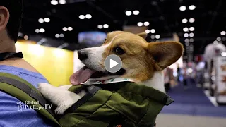 Highlights from Global Pet Expo 2023