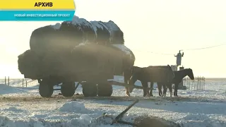 В ЗКО планируют построить новую откормочную площадку для крупного рогатого скота