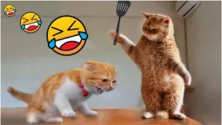 Funniest Cats And Dogs Videos 2024 Part 3🤣 - You Laugh You Lose 😅 - Cutest Animals 😂