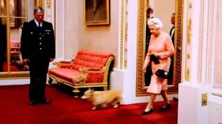 corgis&Her Majesty