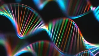 6 Aprile 2000 - Completata la sequenza del DNA