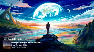 Live Before I Die (Naughty Boy x Mike Posner)(ToxicPulse Remix)