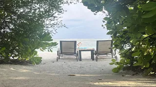 Maldives, cocoon maldives Review November 2023 #travel #travelvlog #maldives #maldivesresorts