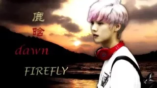 LuHan Firefly