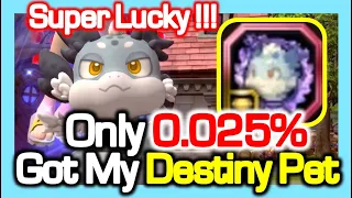 Super Lucky !! Only 0.025%, One Single Synthesis got my [Destiny] Pet / Dragon Nest Korea