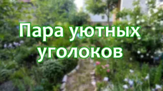 Черняховск. Пара уютных уголков (26.05.2024)