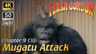 FLASH GORDON: Mugatu Attack (Remastered to 4K/50fps)