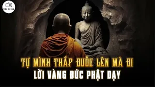 Tự Mình Thắp Đuốc Lên Mà Đi - Lời vàng Phật dạy trên con đường Tu Hành