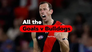 All the goals: Dons v Dogs | Rd 5 💥💥💥